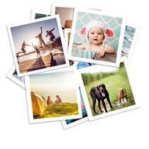 Photo Prints